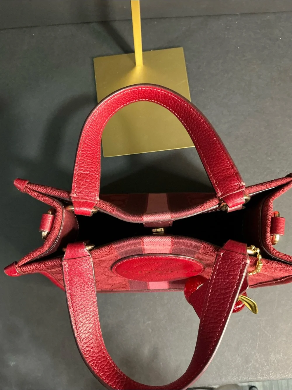 Coach Outlet Dempsey Tote 22 and Coach Cherry Charm